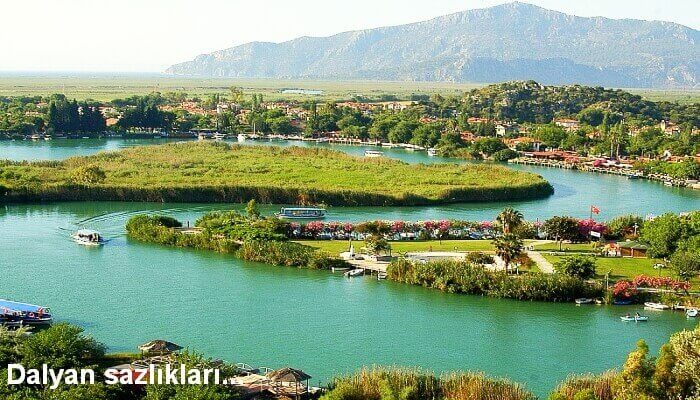 Dalyan Tekne Turlari Gezi