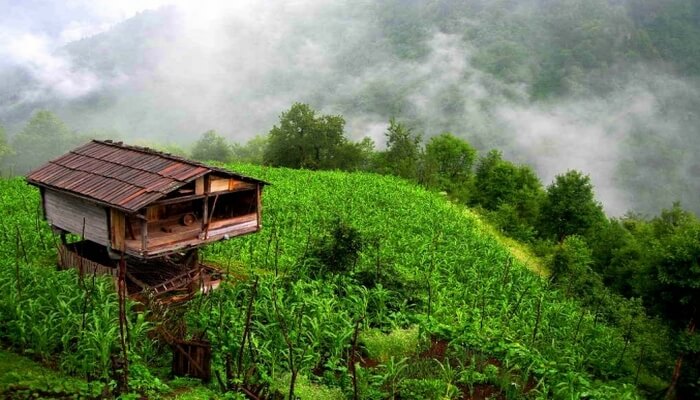 Uçaklı Karadeniz Turları