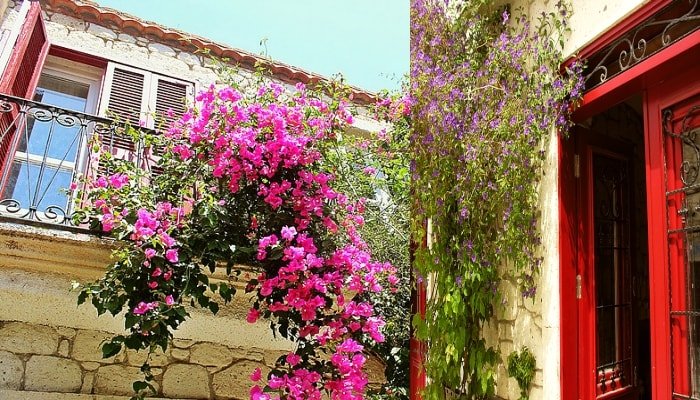 Alaçatı otel tavsiyesi Salyangoz