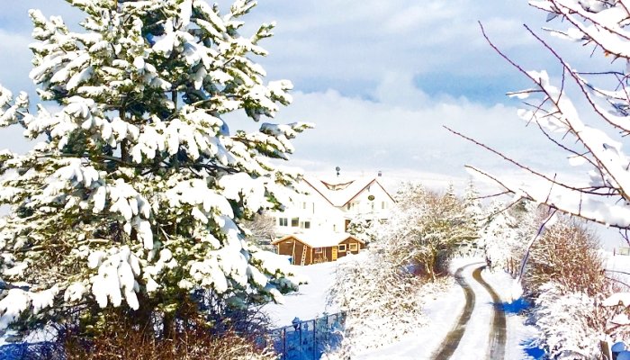 Bolu kış otelleri tatil yerleri